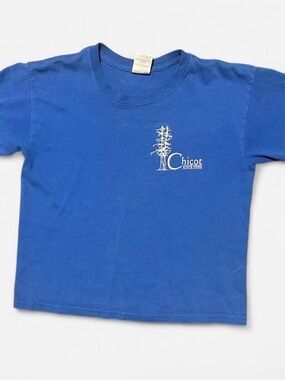 Vintage Chicot State Park Baby Tee